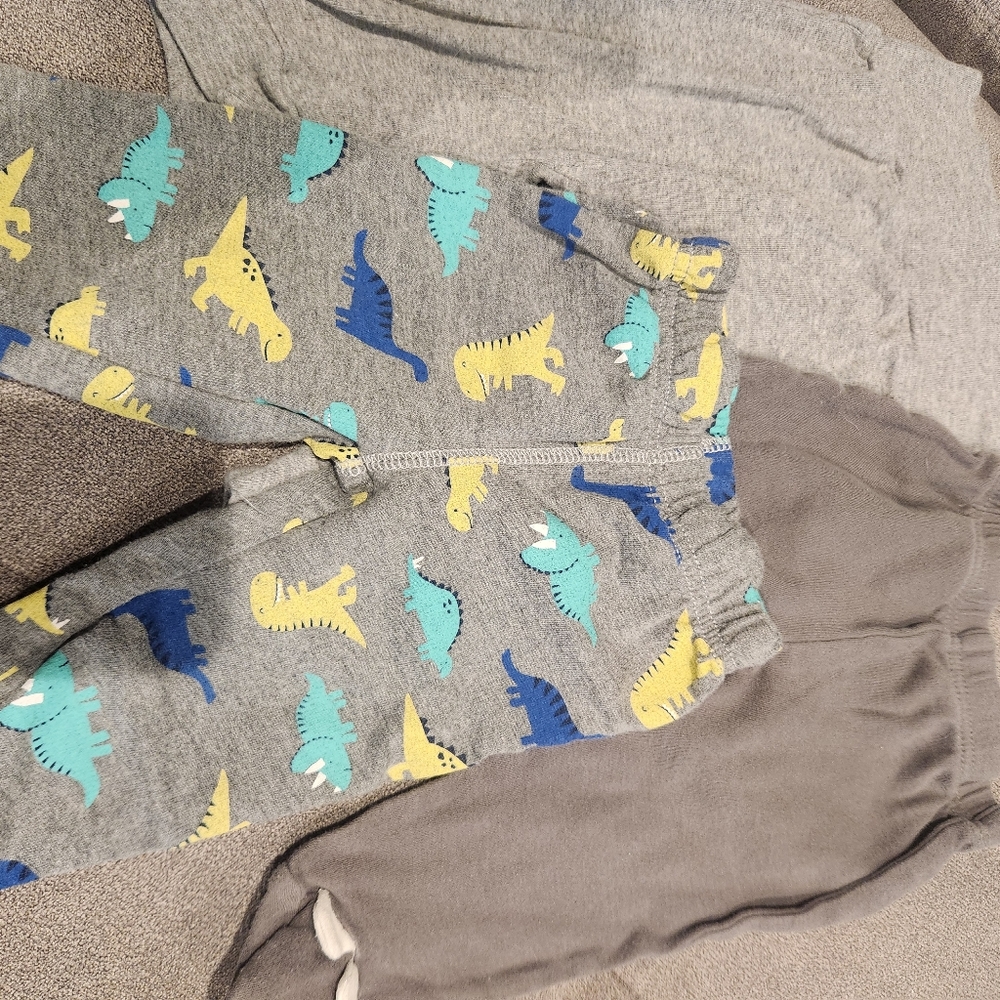 Assorted And Gray Dinosaur Print Kids Bottoms